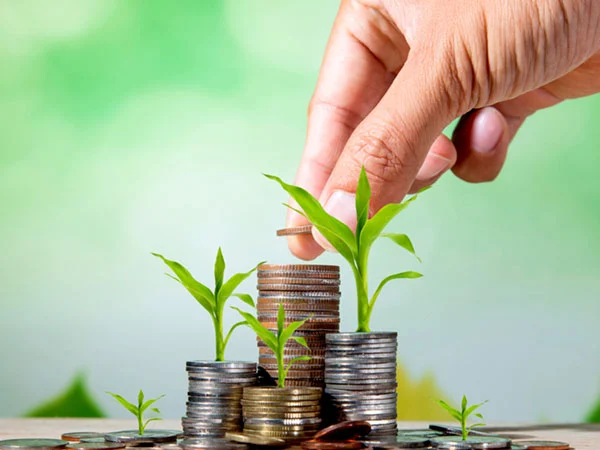 Long Term Loans